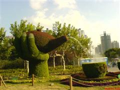 Topiary Photos